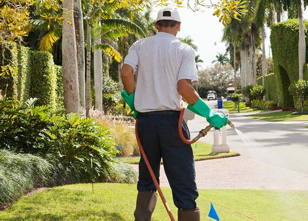 About Galva KS Pest Control Pros
